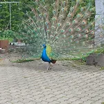 La Ferme Du Chateau Semesterbostad Stoumont