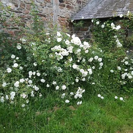 La Ferme Du Chateau *