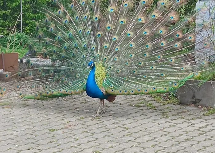 La Ferme Du Chateau Vakantiehuis Stoumont
