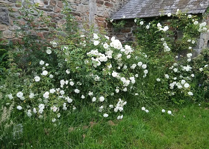 La Ferme Du Chateau *